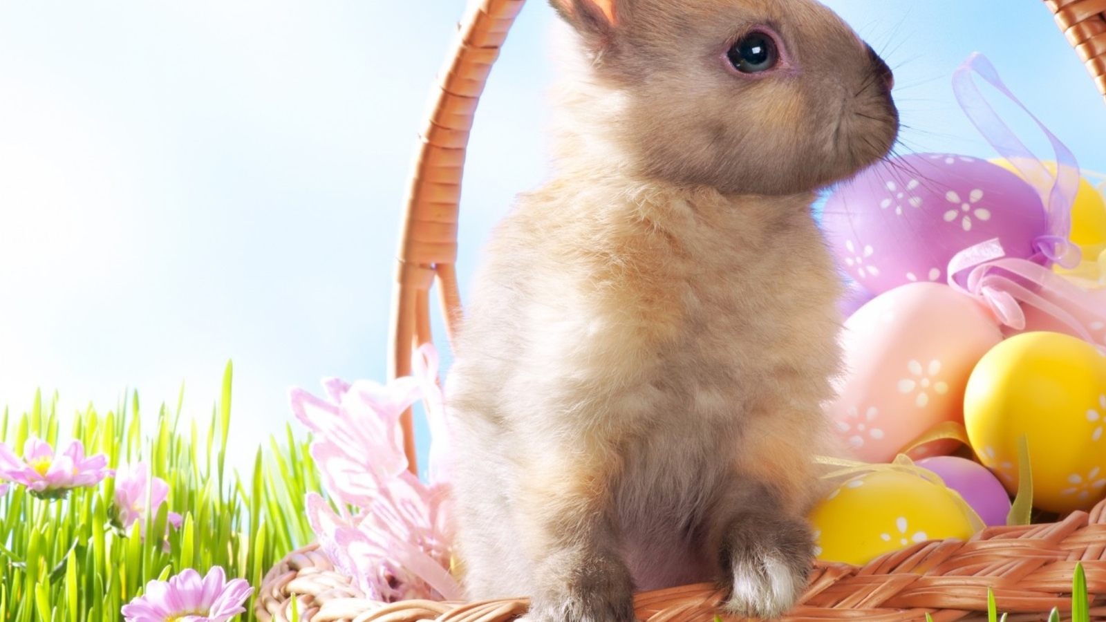 Кролик в корзине на Пасху