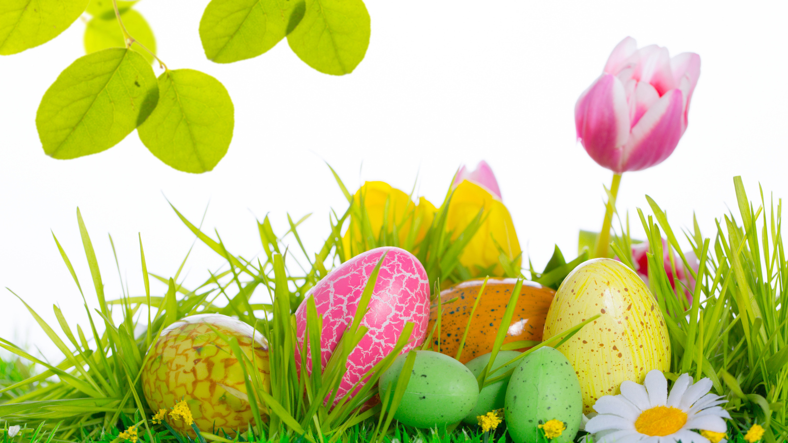 Весенняя зелень на Пасху