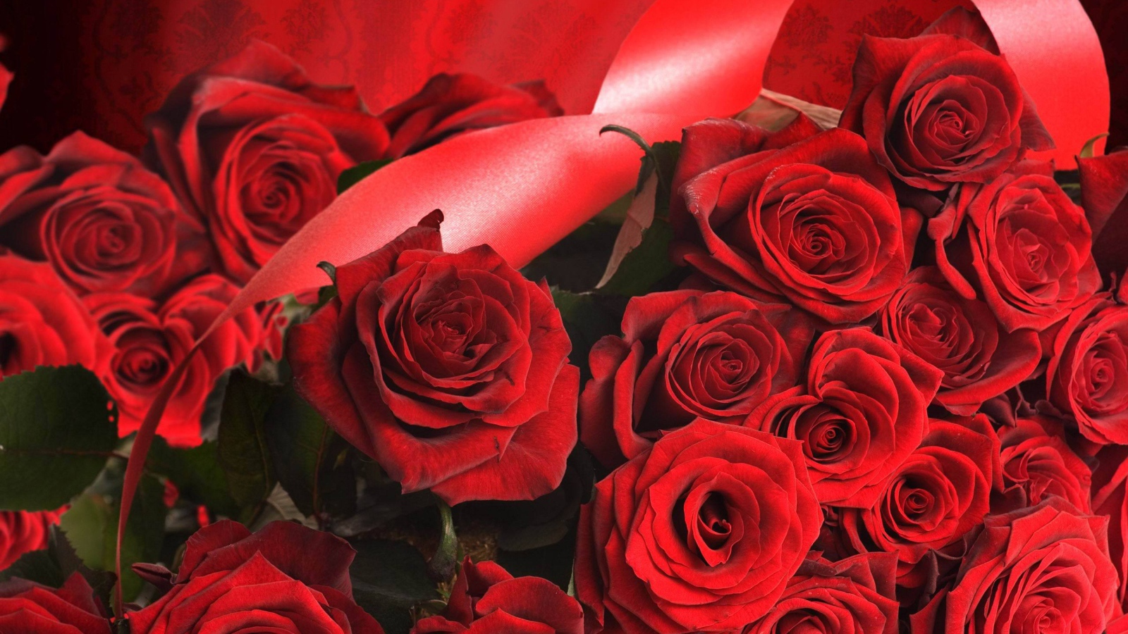 Красные розы на 8 марта с красными лентами