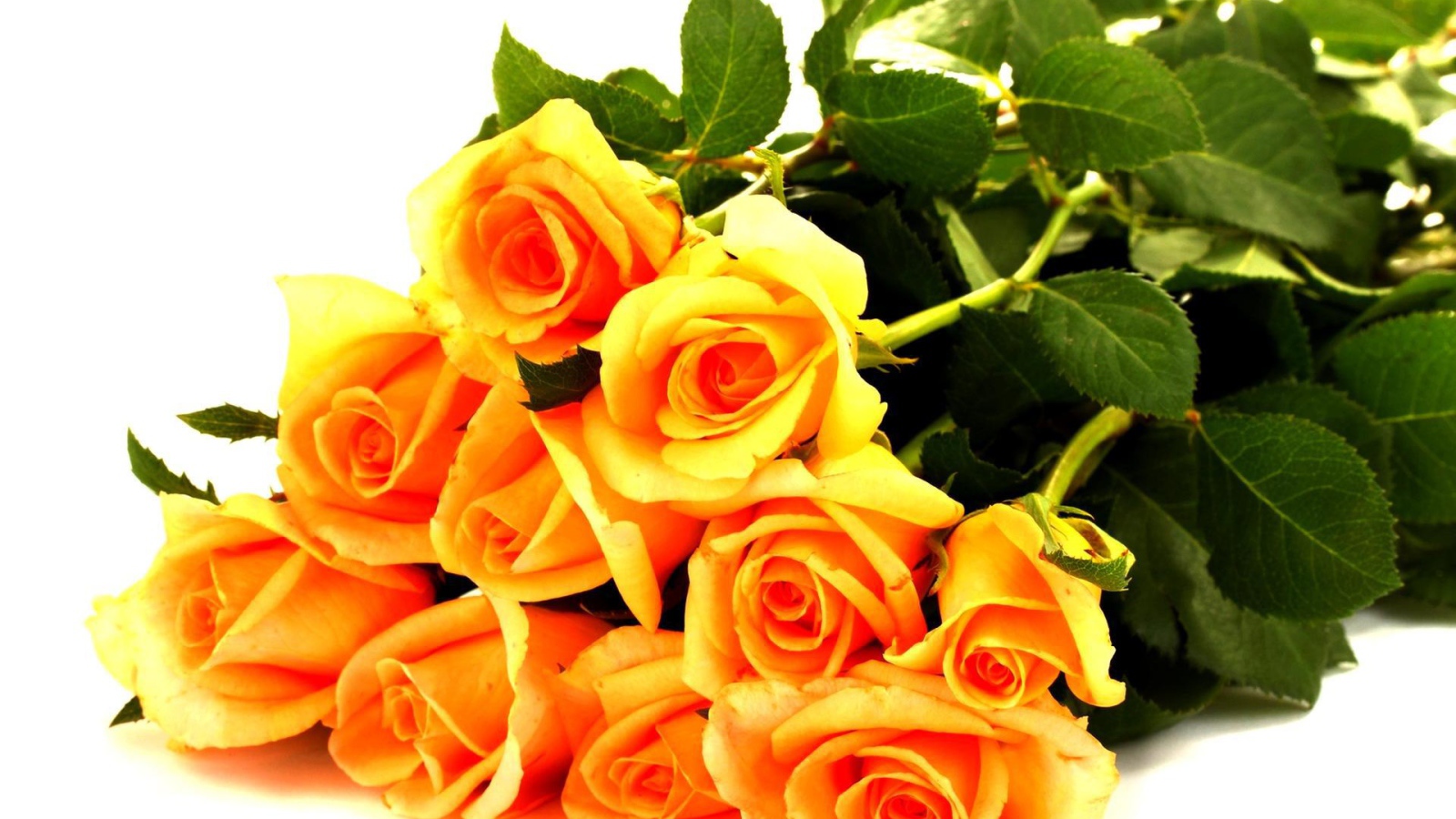 Жёлтые розы в букете для любимой дамы