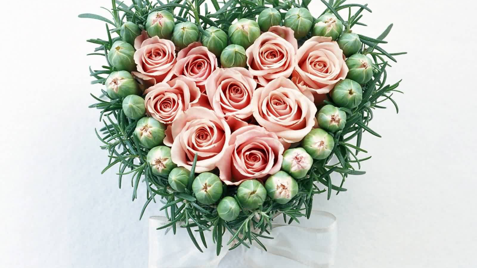 Розы и бутоны на День Святого Валентина