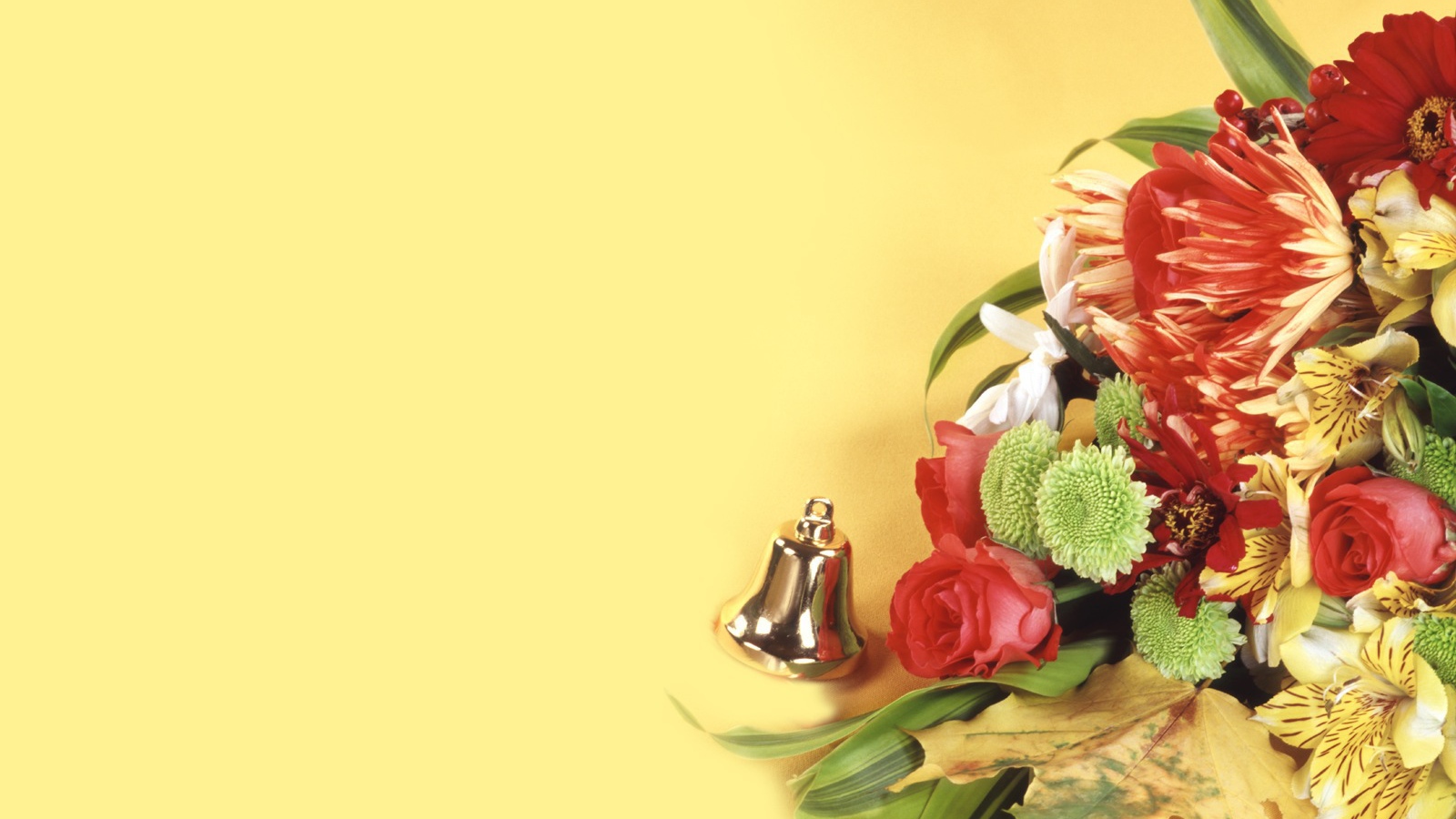 Красивые обои в День знаний 1 сентября