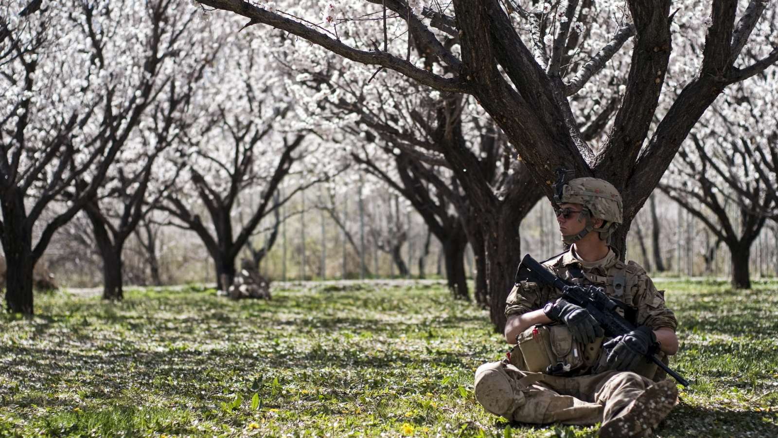 Солдат в цветущем саду