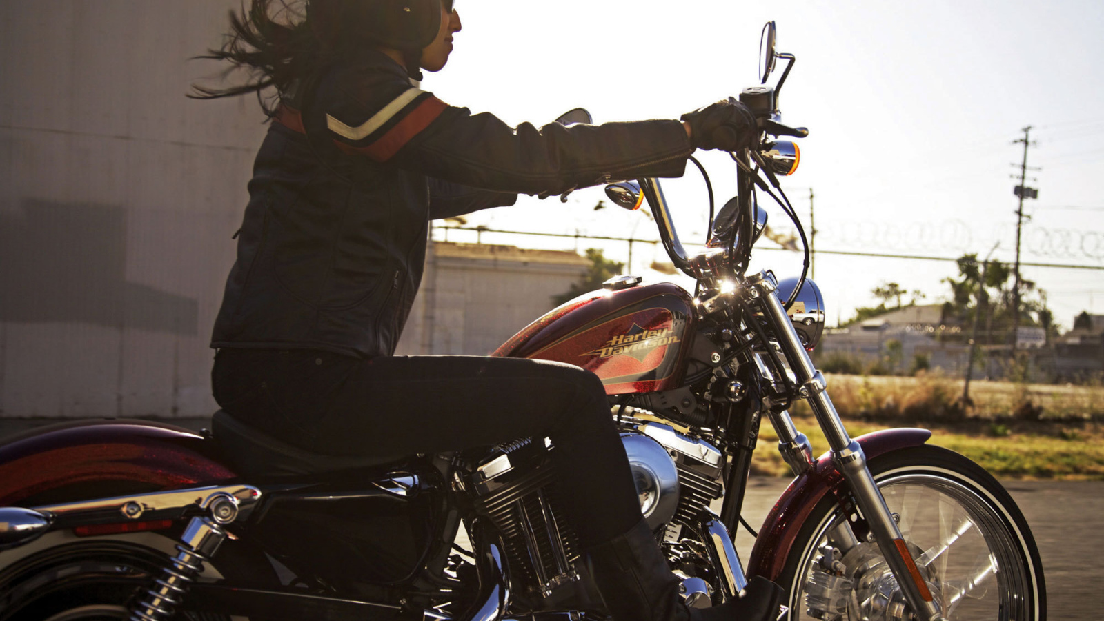 Красивый мотоцикл Harley-Davidson XL 1200V Sportster Seventy-Two