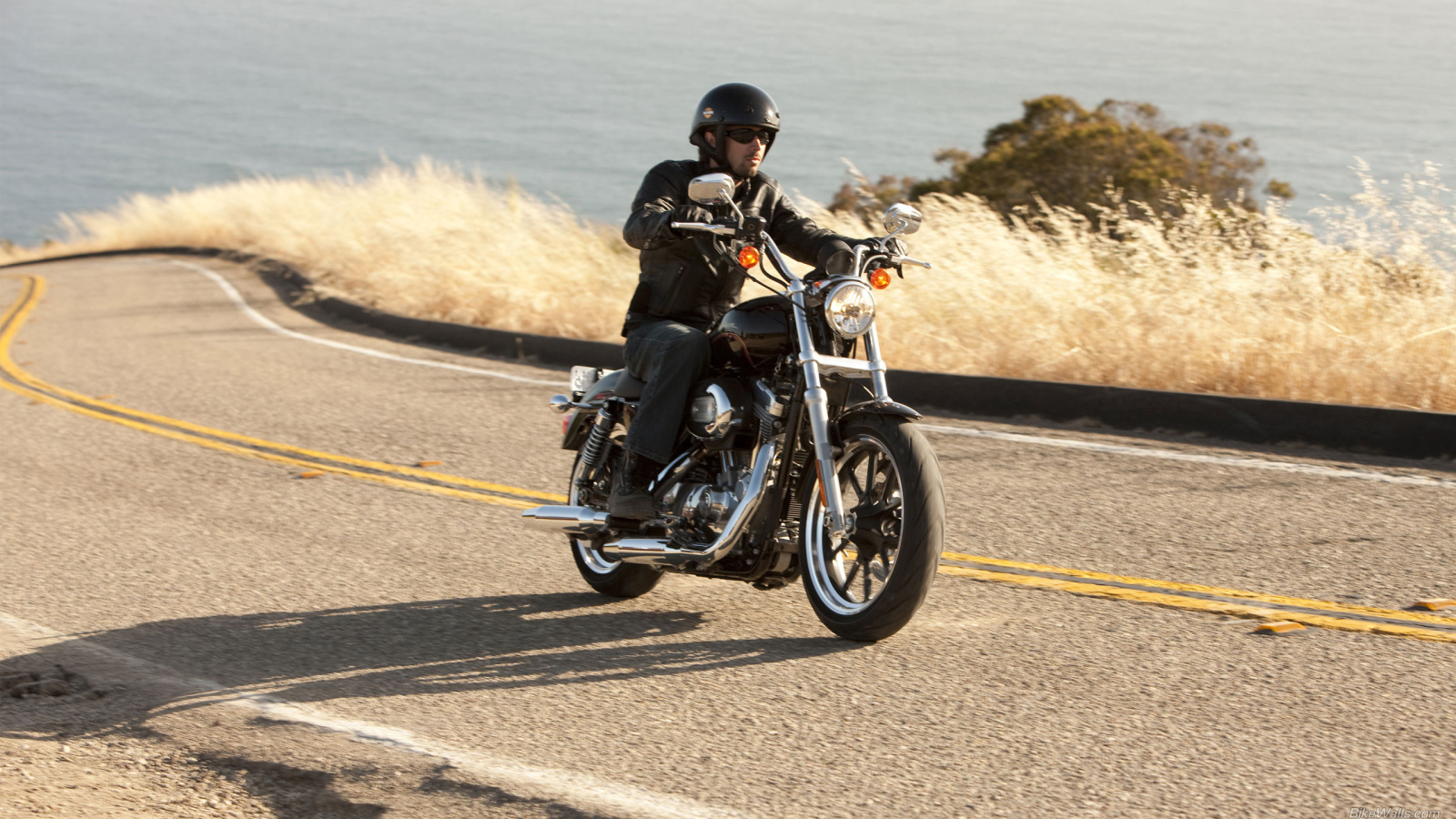 Невероятный мотоцикл Harley-Davidson XL 883L Sportster