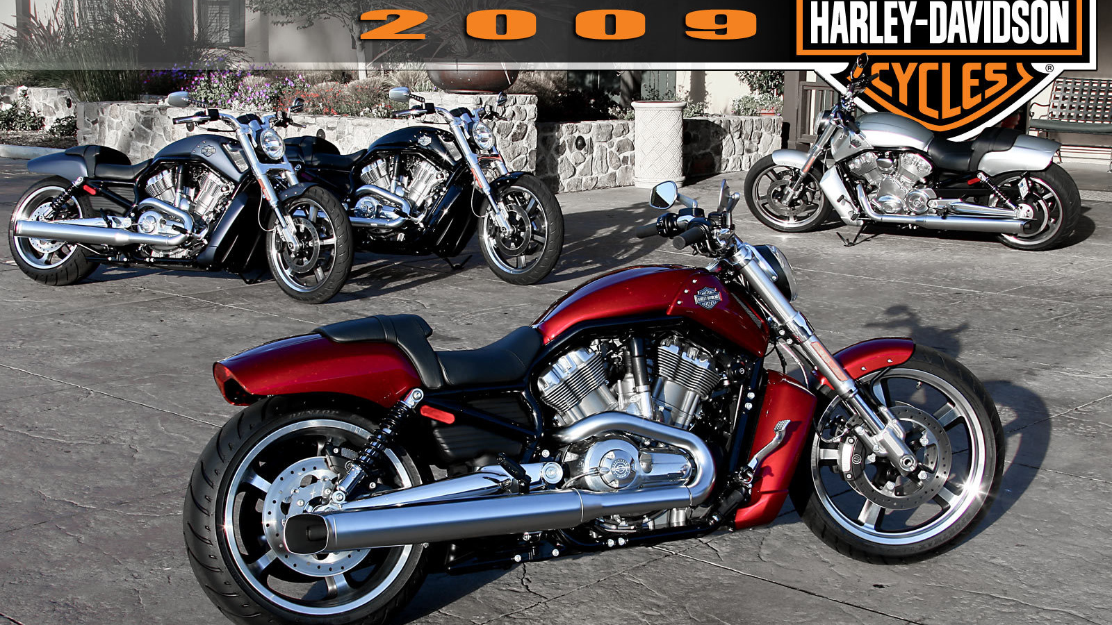 Новый мотоцикл Harley-Davidson V-Rod Muscle