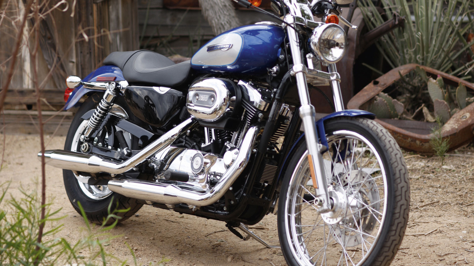 Новый надежный мотоцикл Harley-Davidson XL 1200C Sportster Custom