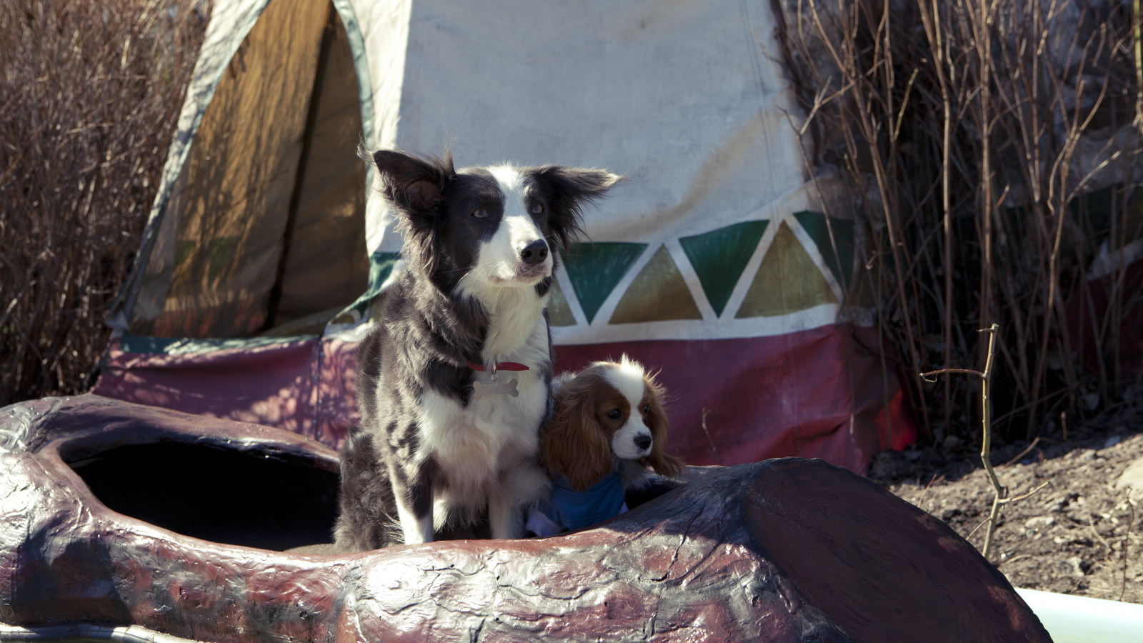 Герои фильма Ёлки лохматые 2014