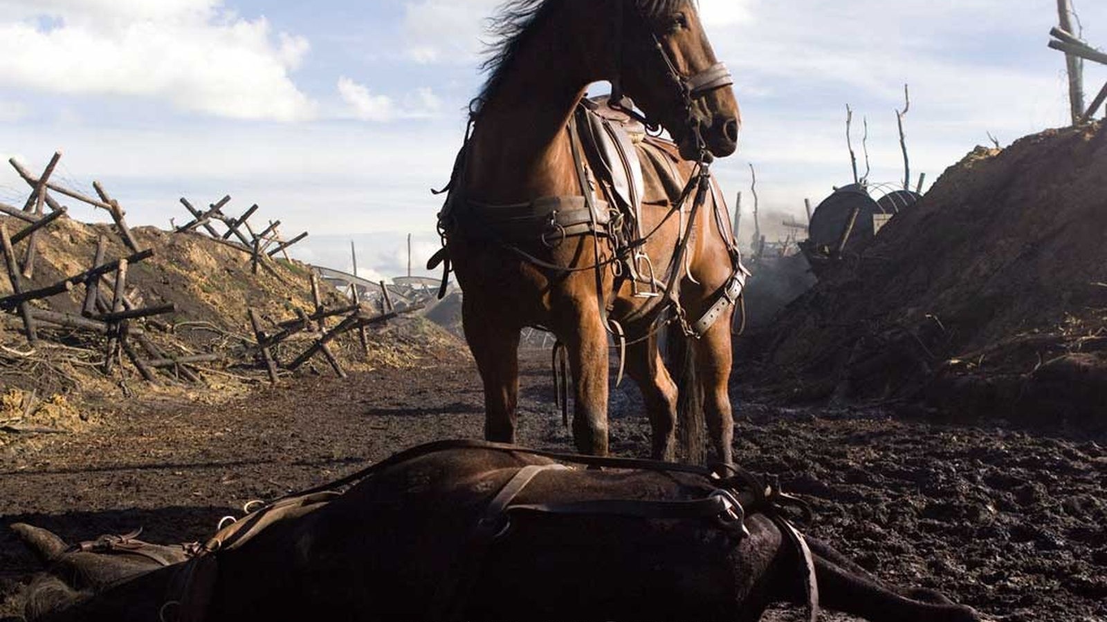 Боевой конь