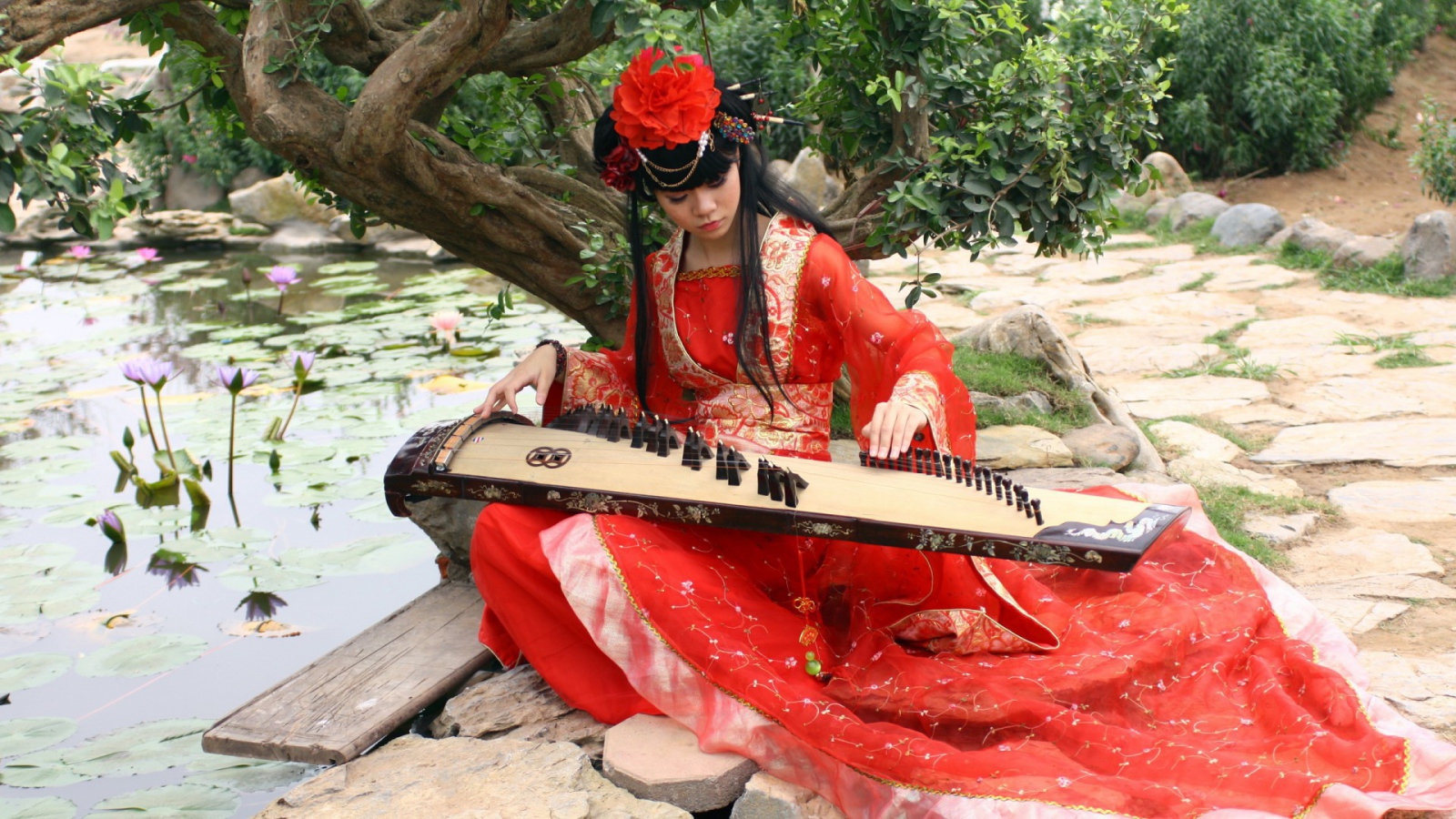 Утренние кувшинки под музыку