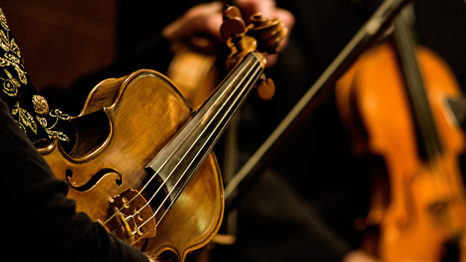 Струны скрипки