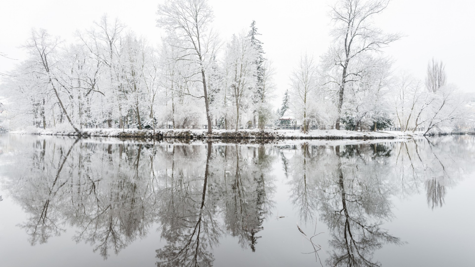 Oтражения деревъев в снегу