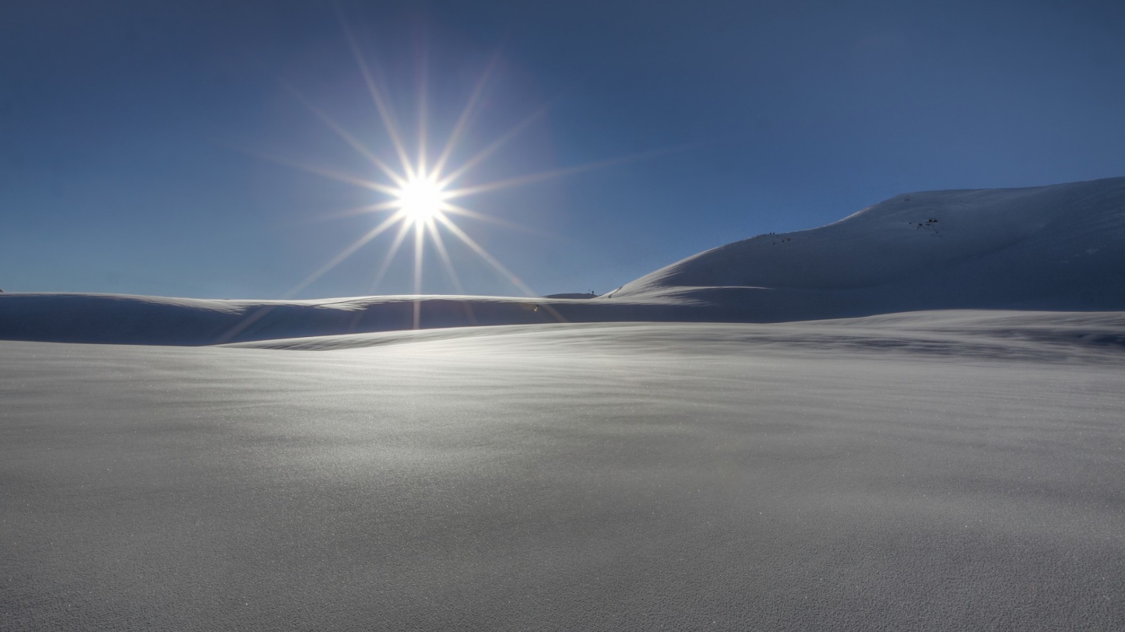 Звезда пустыни