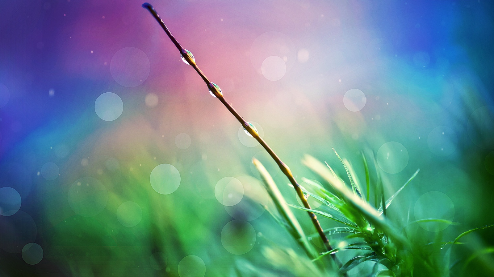 Природа