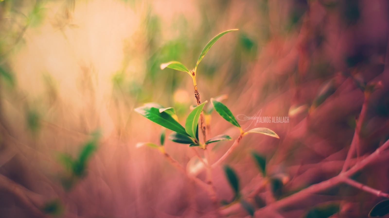 Новый завод