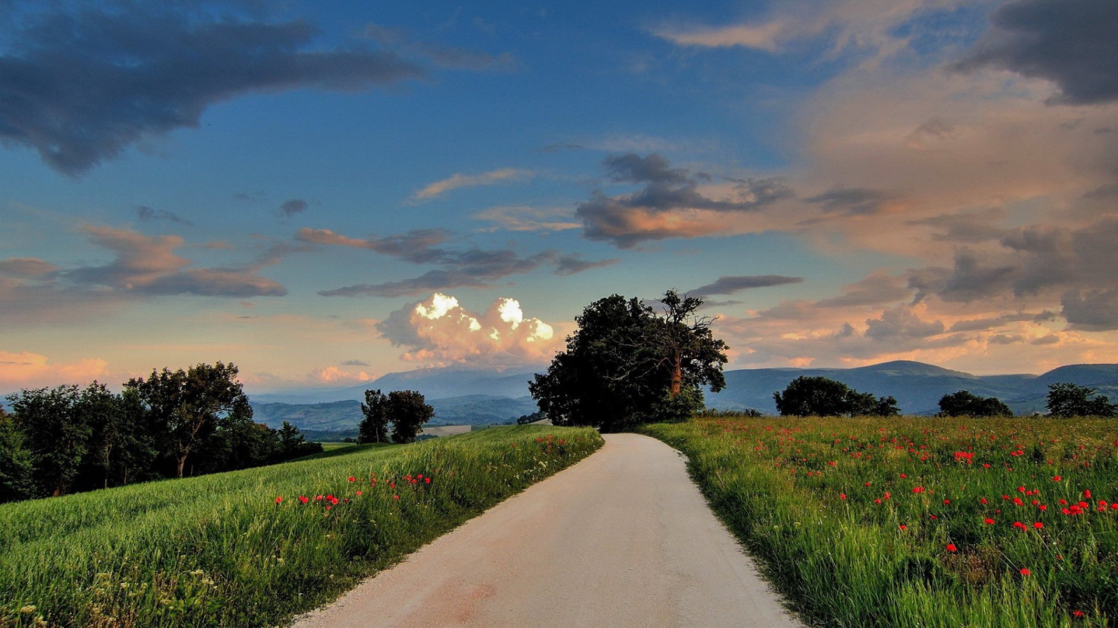 Дорога сельской местности