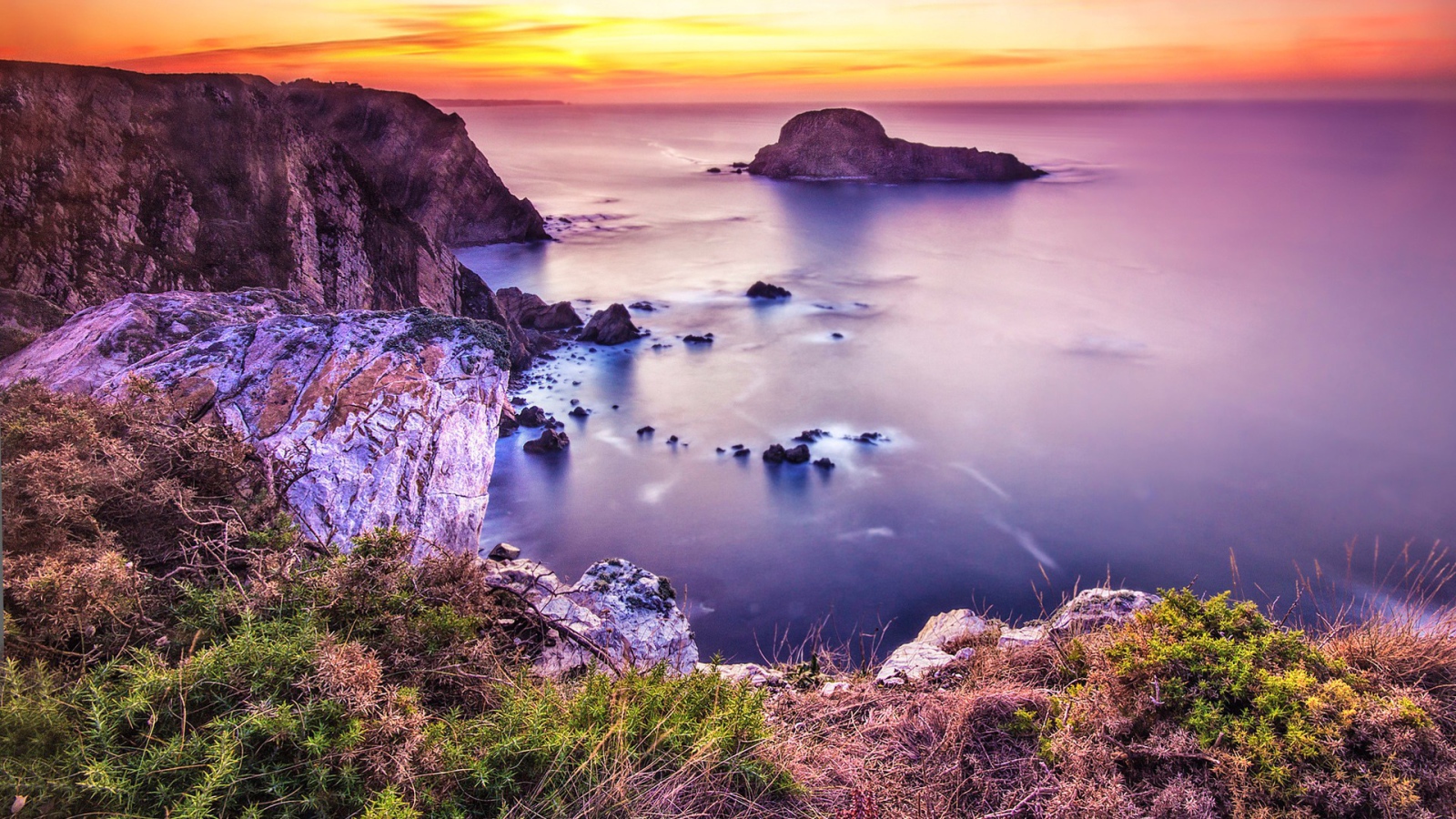 Розовая природа