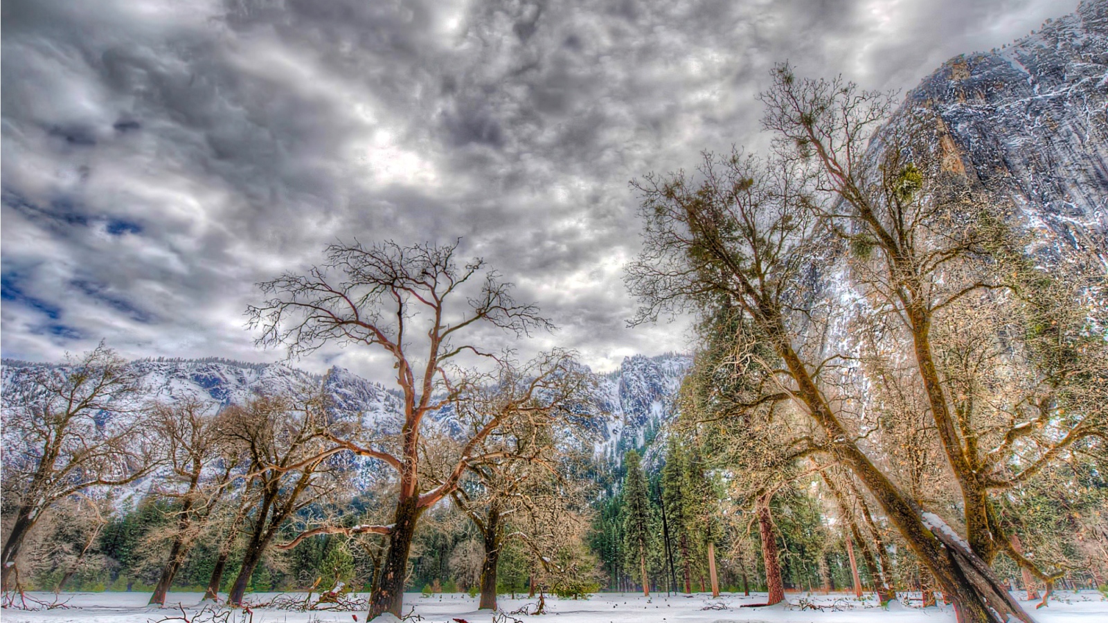 Зима в национальном парке