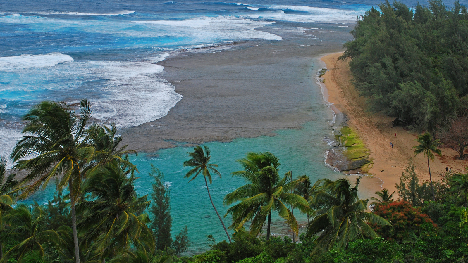 Дикий пляж у моря