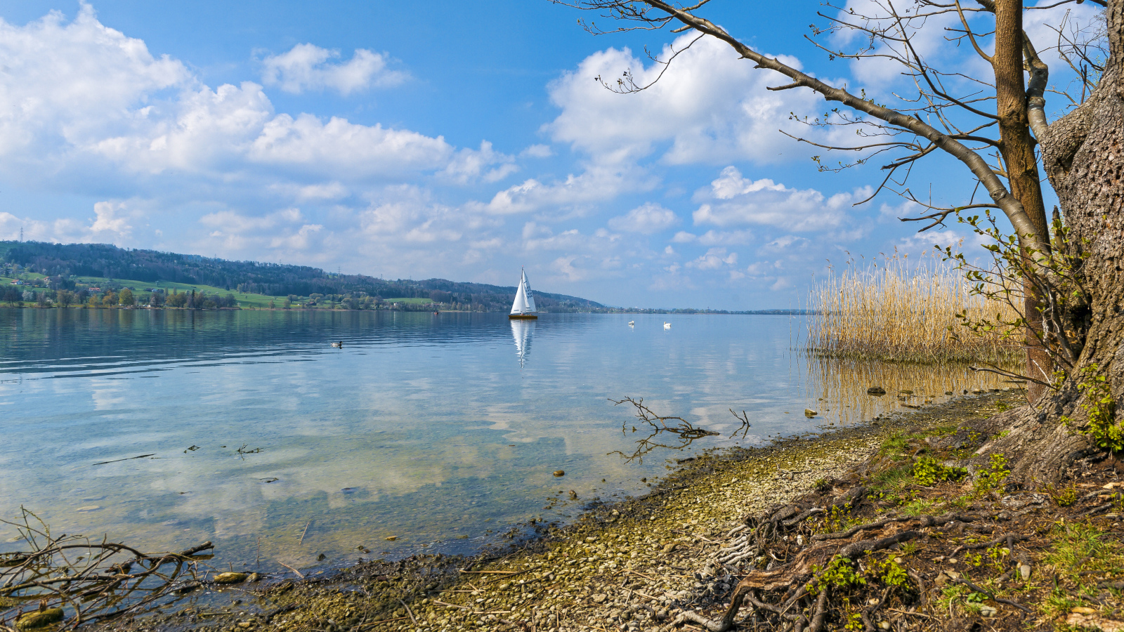 Редкие осенние облака