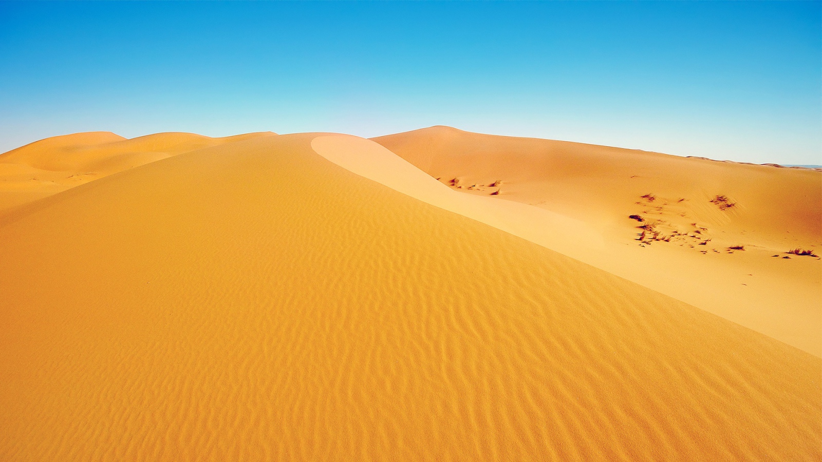 African desert