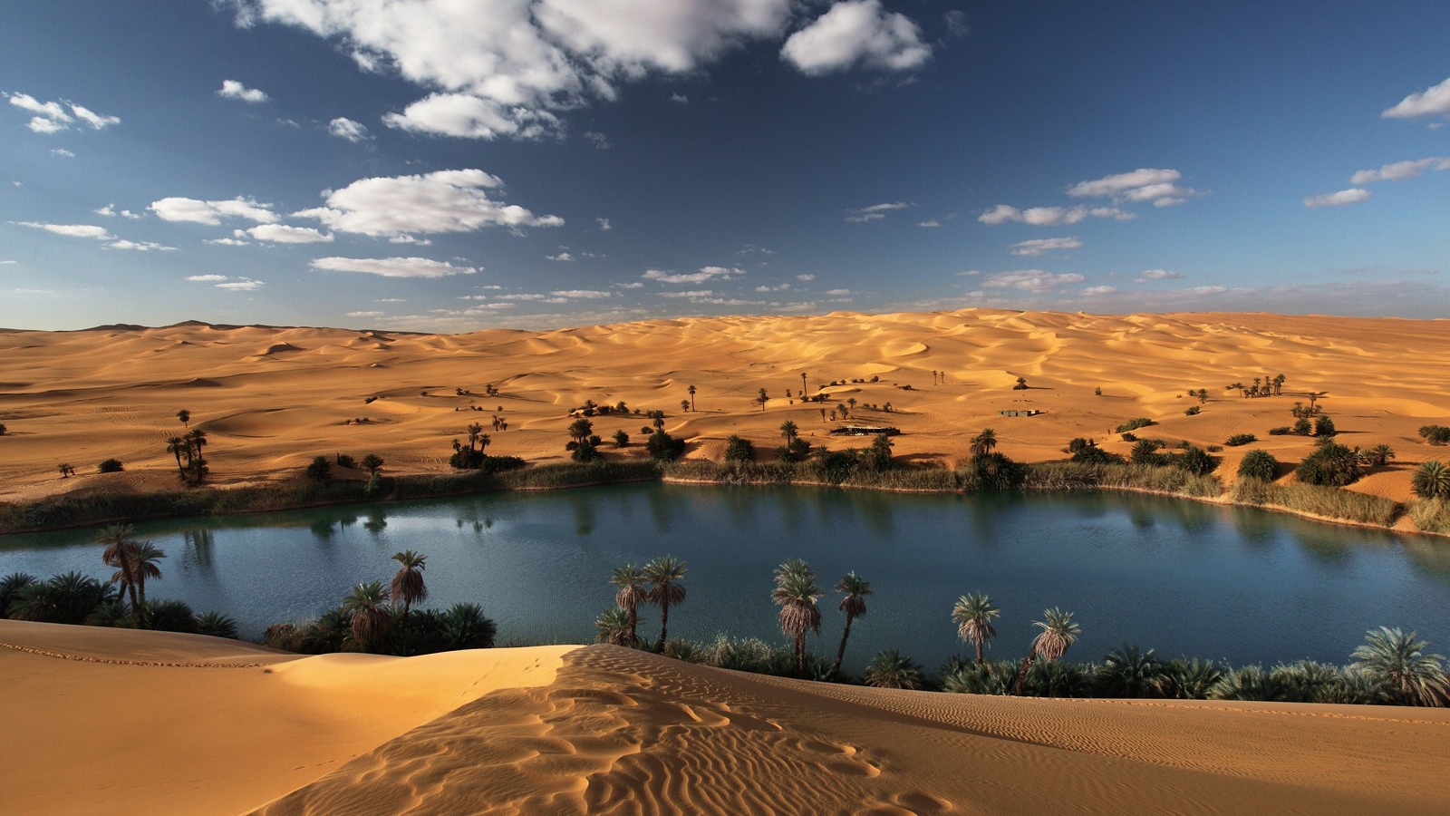 Оазис в пустыне Ливии