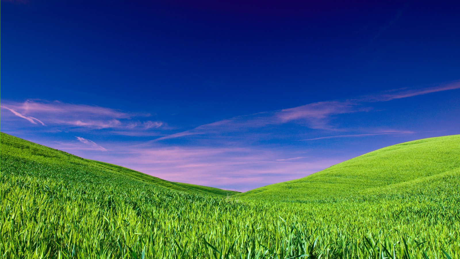 Чистое небо над полем