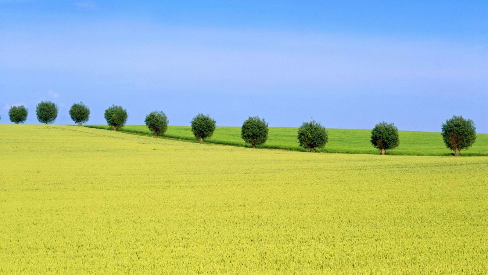 Природа Швеции