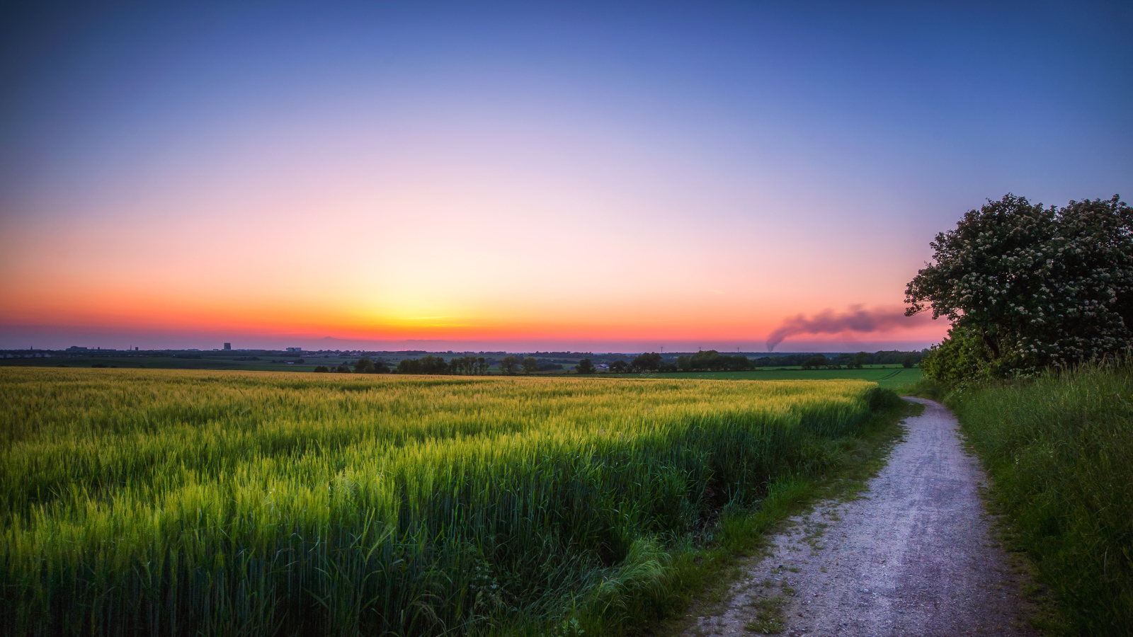 Дорога по краю поля