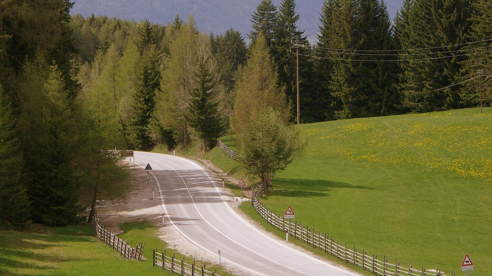 Забор вдоль дорги