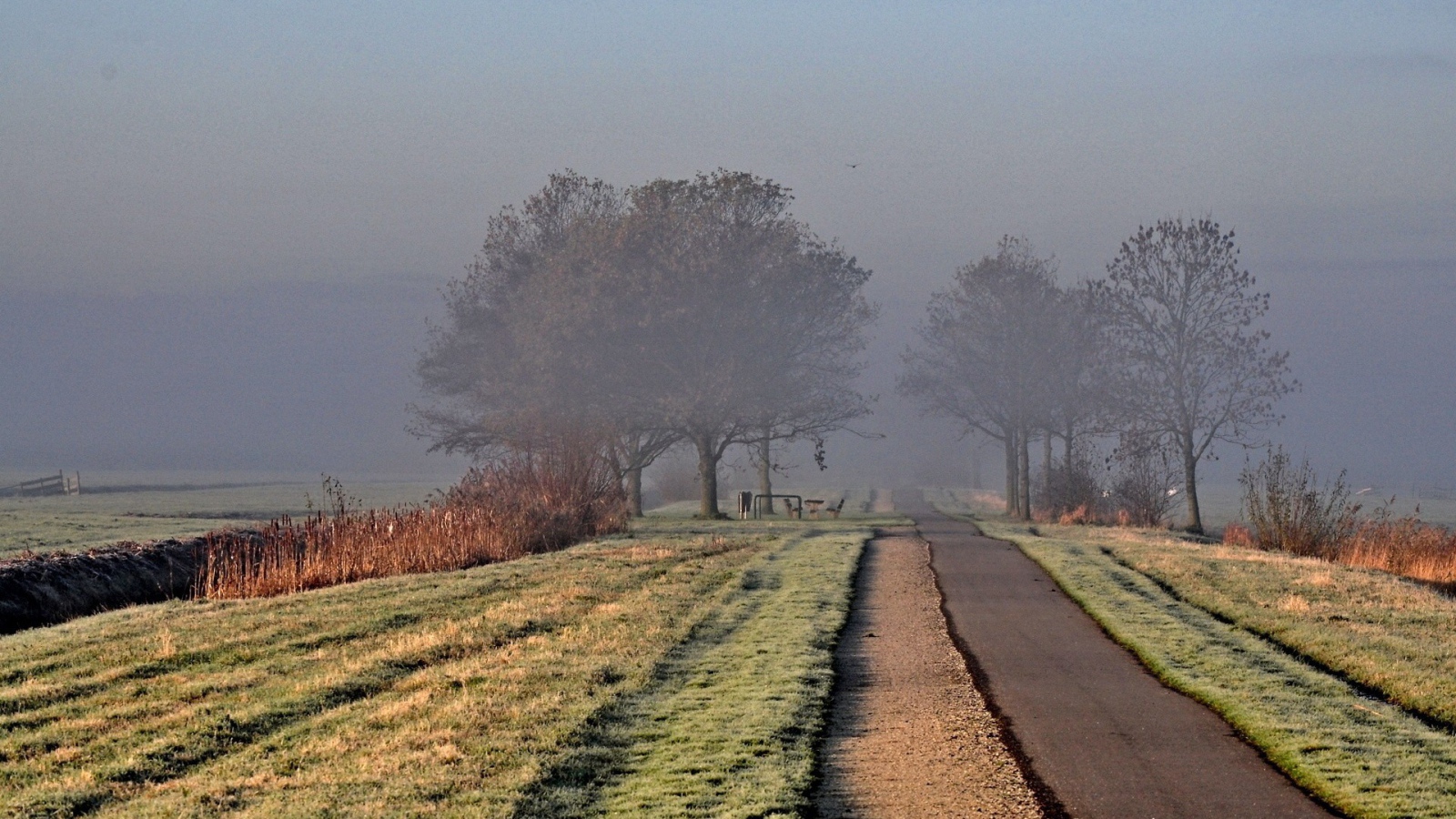 Дорога ведущая в туман