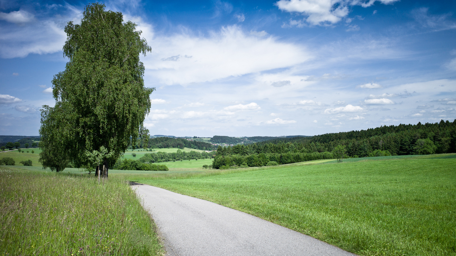 Дорога через поле