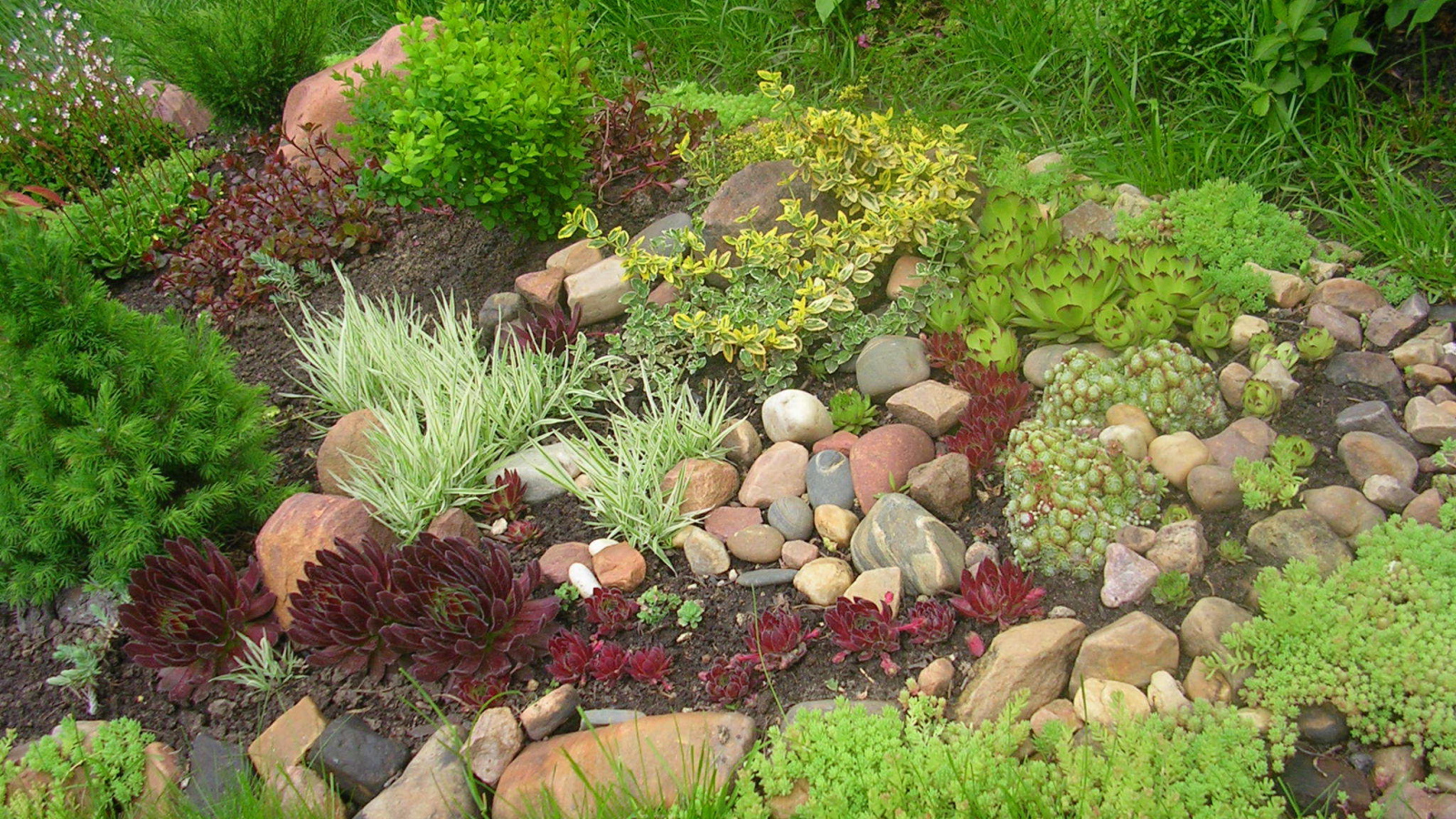 На дачном участке красивая альпийская горка