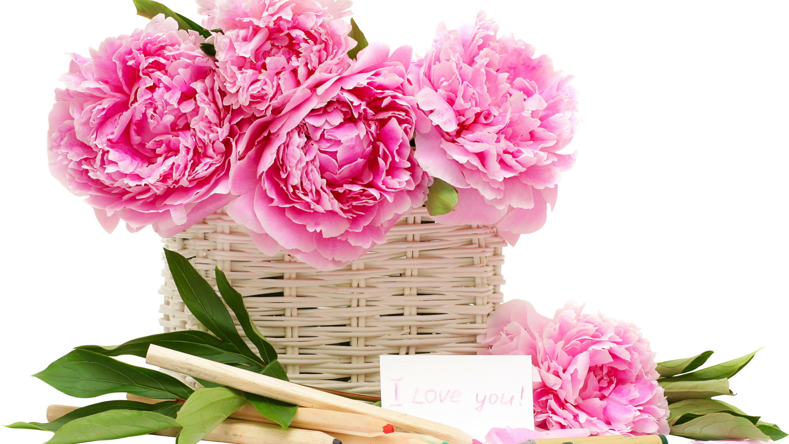 Красивый рисунок цветы пионы