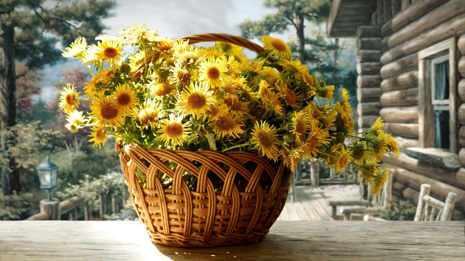 Красивые цветы хризантема в корзине