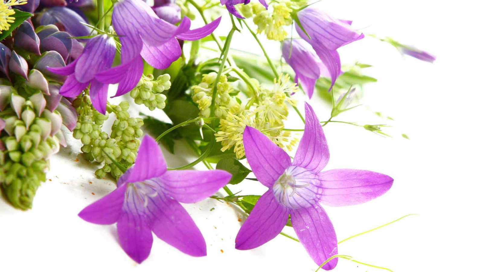 Букет из колокольчиков