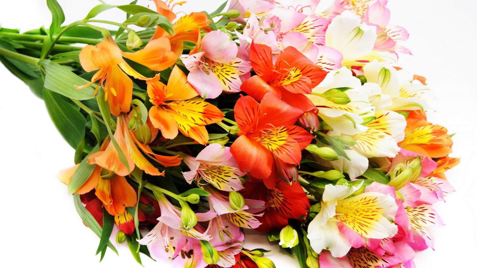Букет декоративных цветов