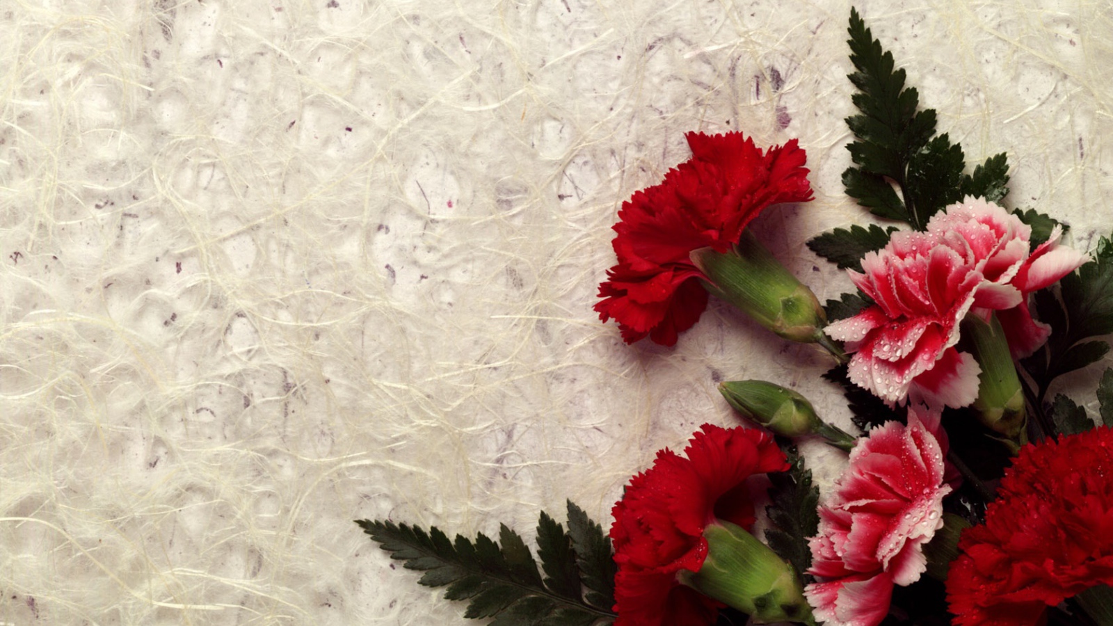 Гвоздика декор