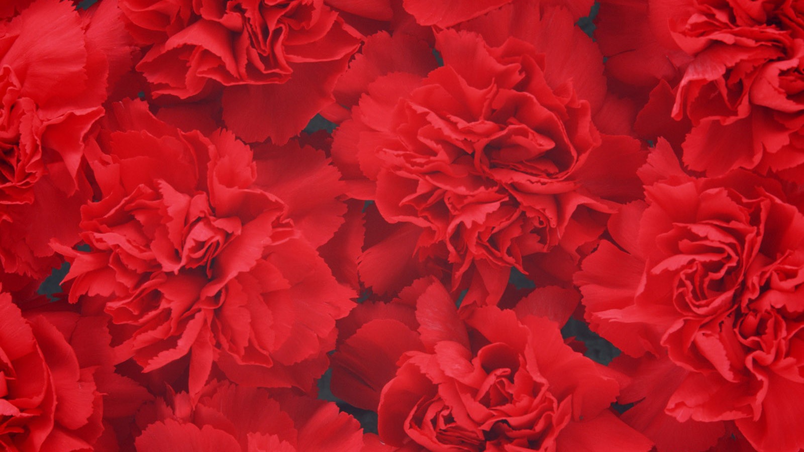 Цветочный фон