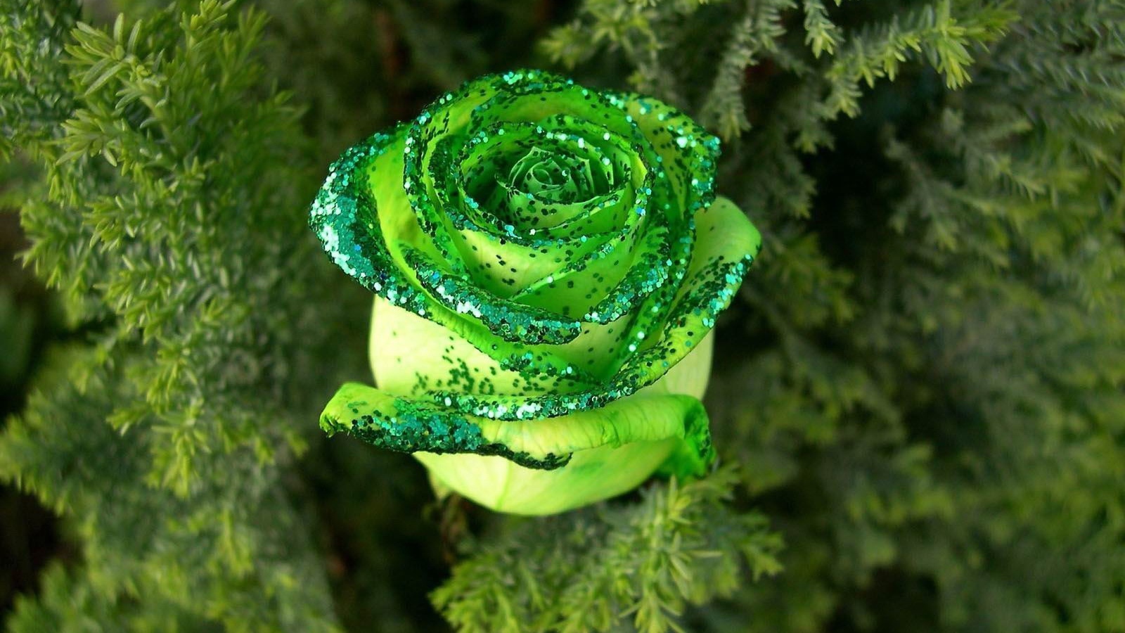 Цветок на ёлке