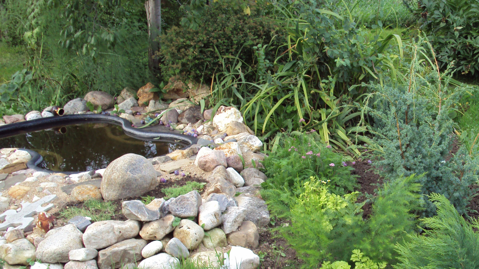 На поляне красивая альпийская горка