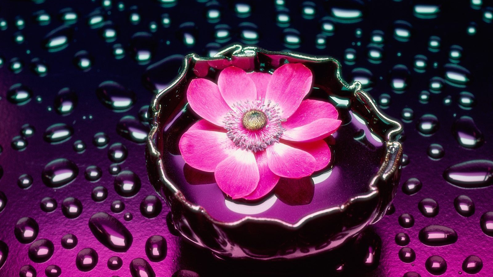 Лепестки и вода