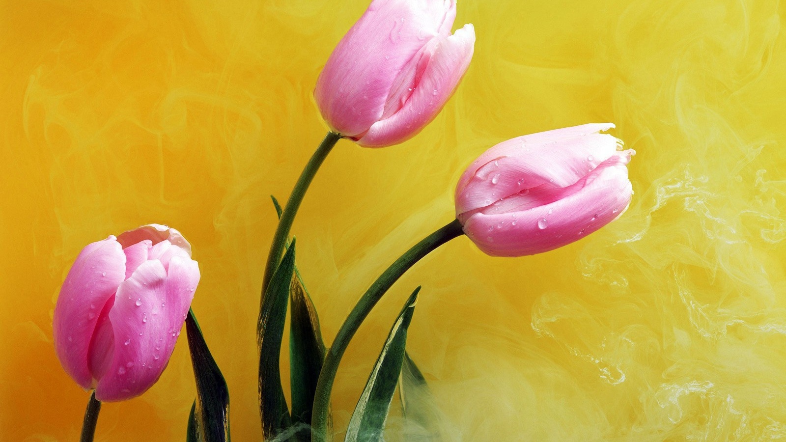 Розовые цветы в желтом дыму