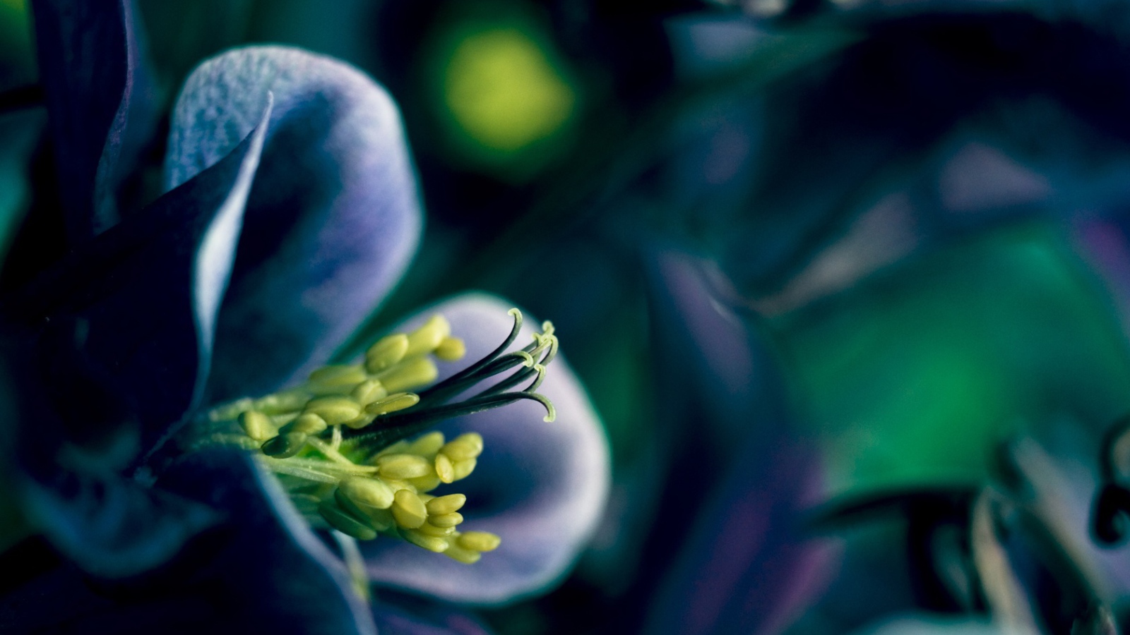 Время весны