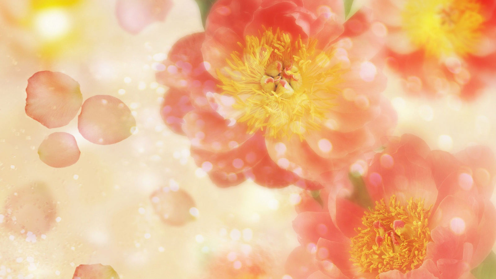 Летящие лепестки