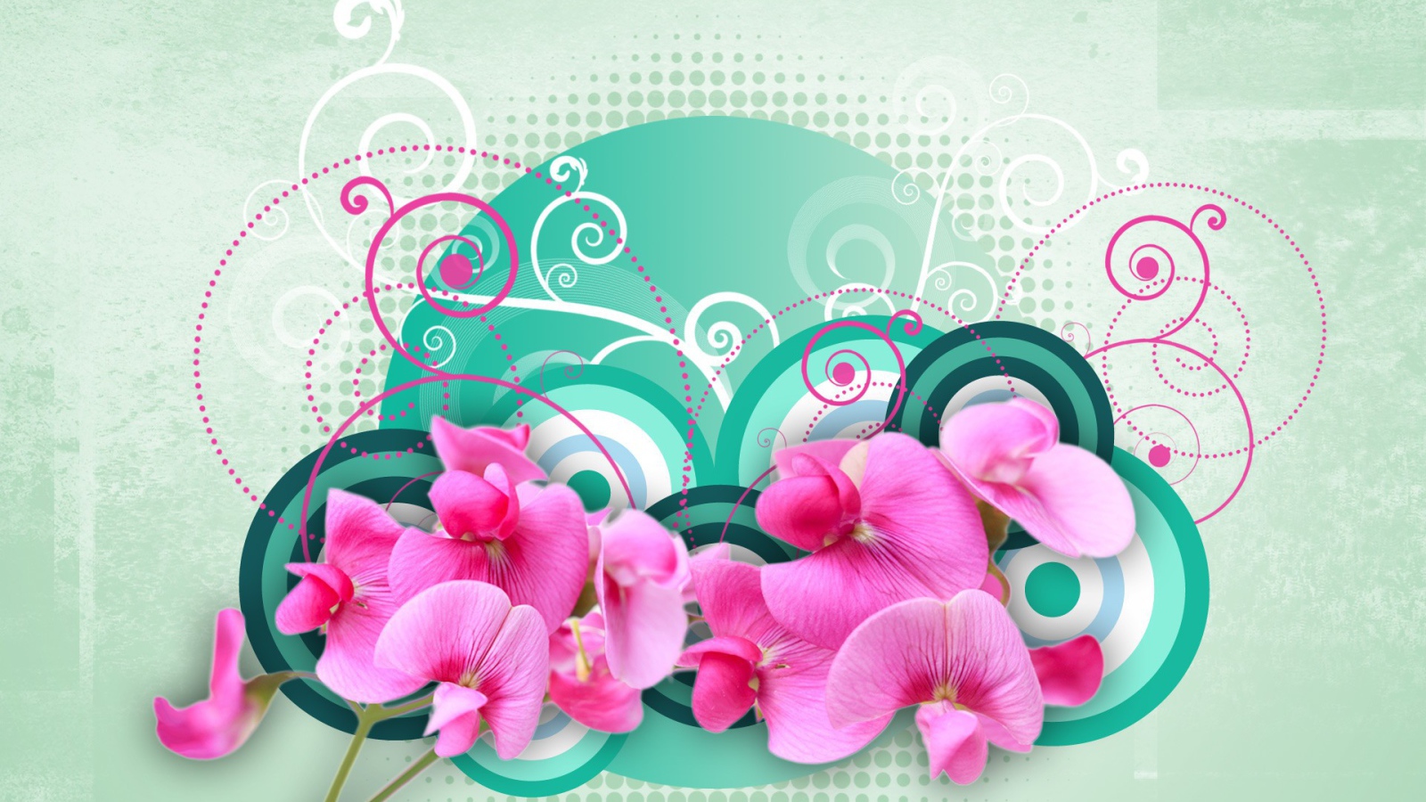 Рисунок с орхидеями