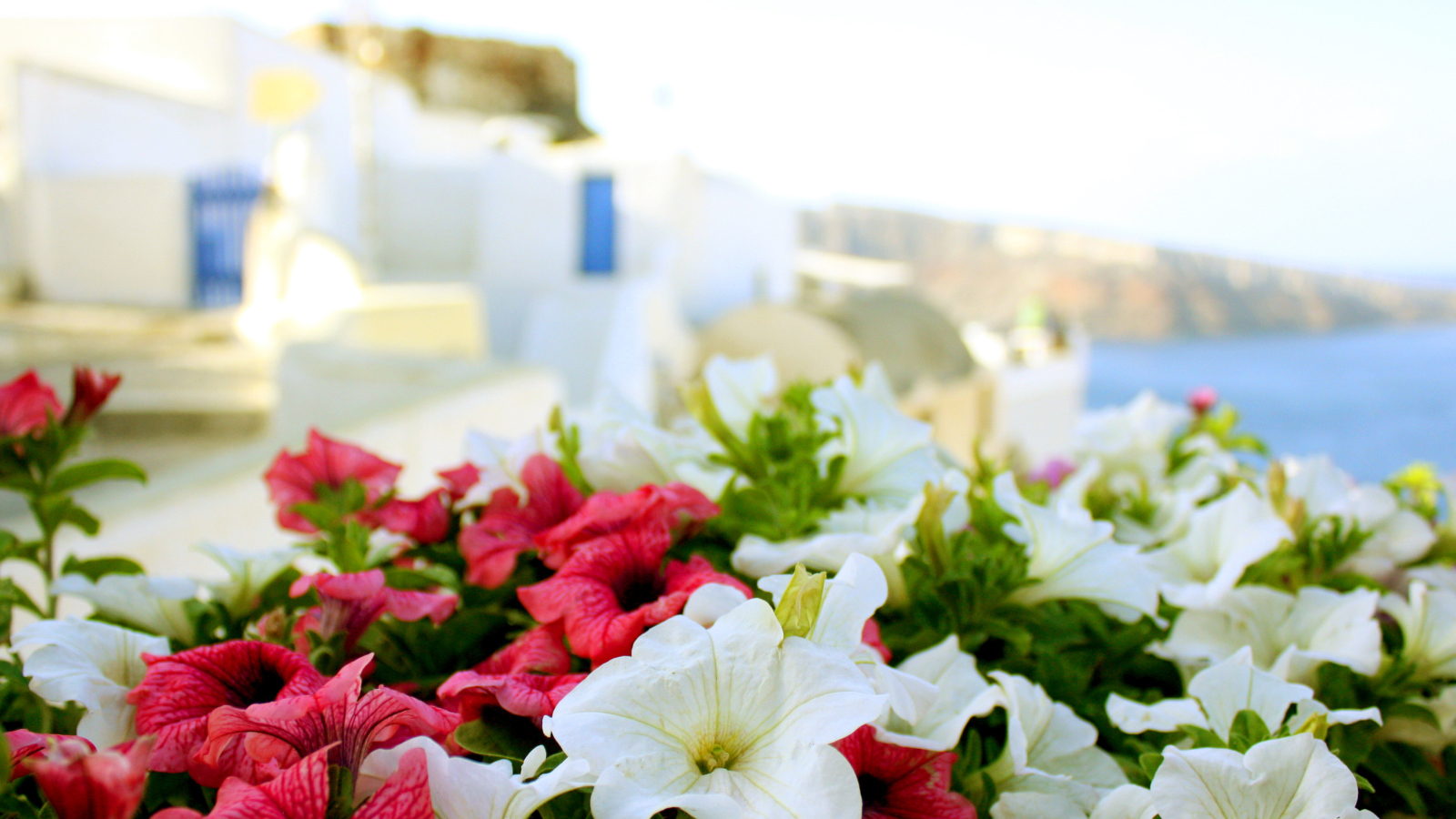 Цветы в Греции