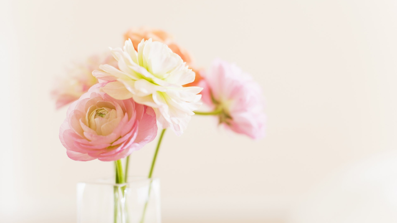 Цветы в стеклянном кувшине