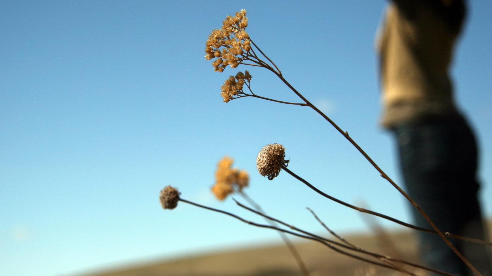 Силуэт девушки