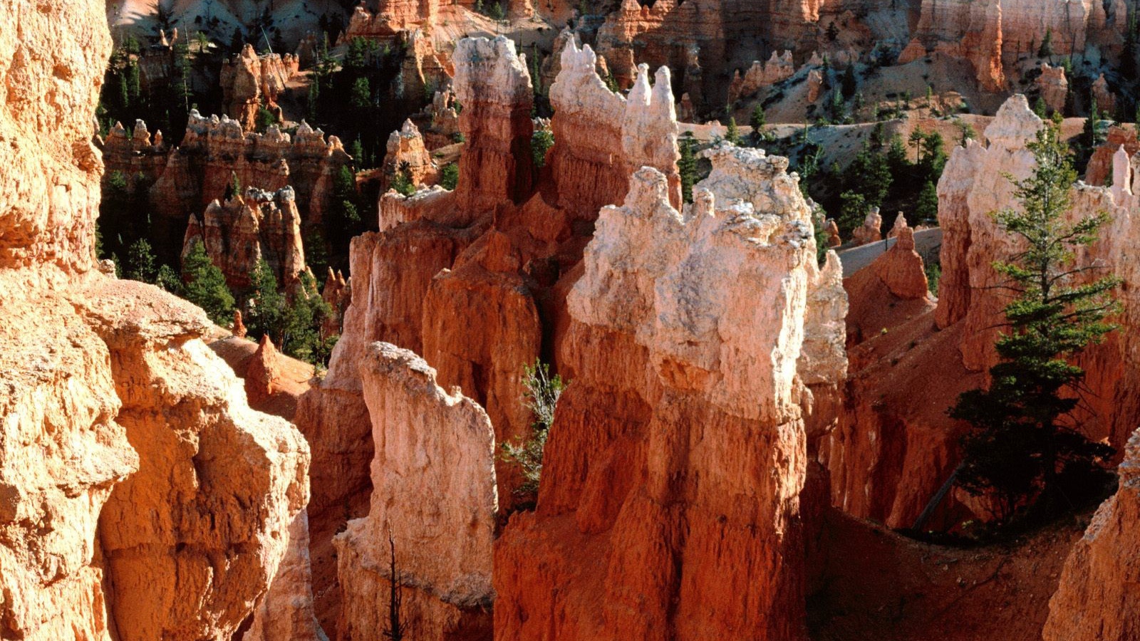 Каньон Брюс